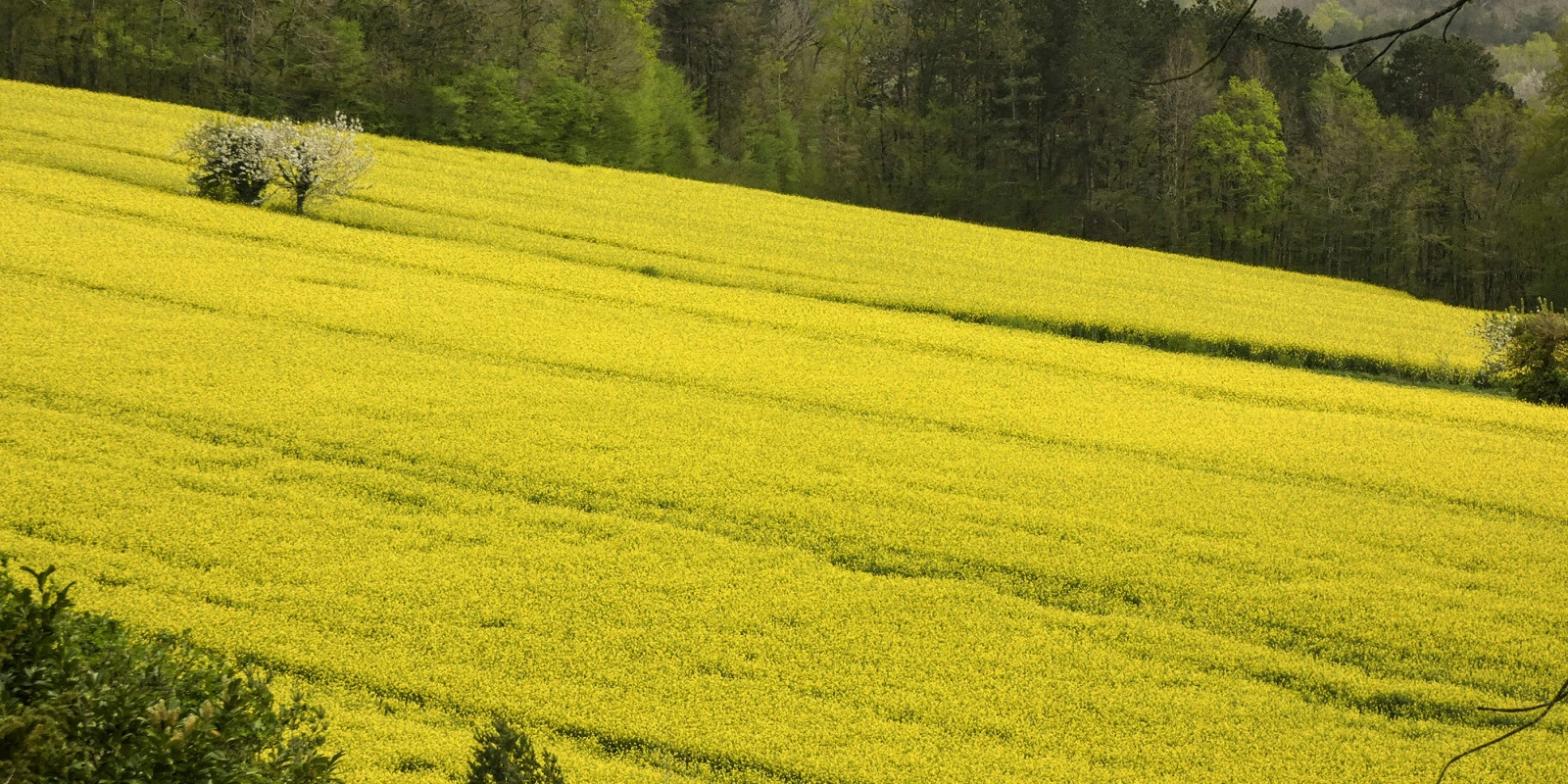 Débouchés Après une Licence Éco-Gestion