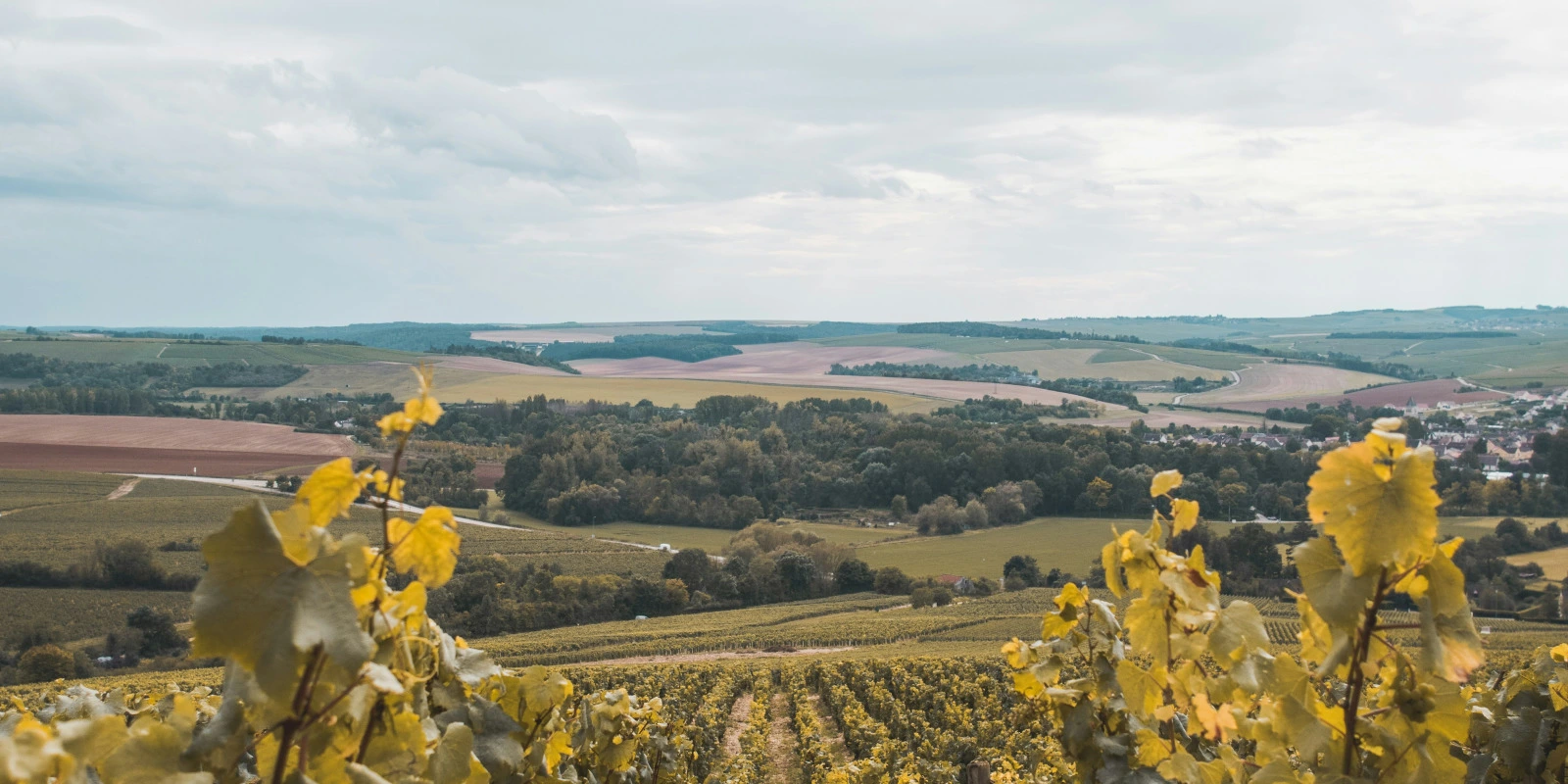 Fiscalité des Entreprises : Réglementation et Stratégies