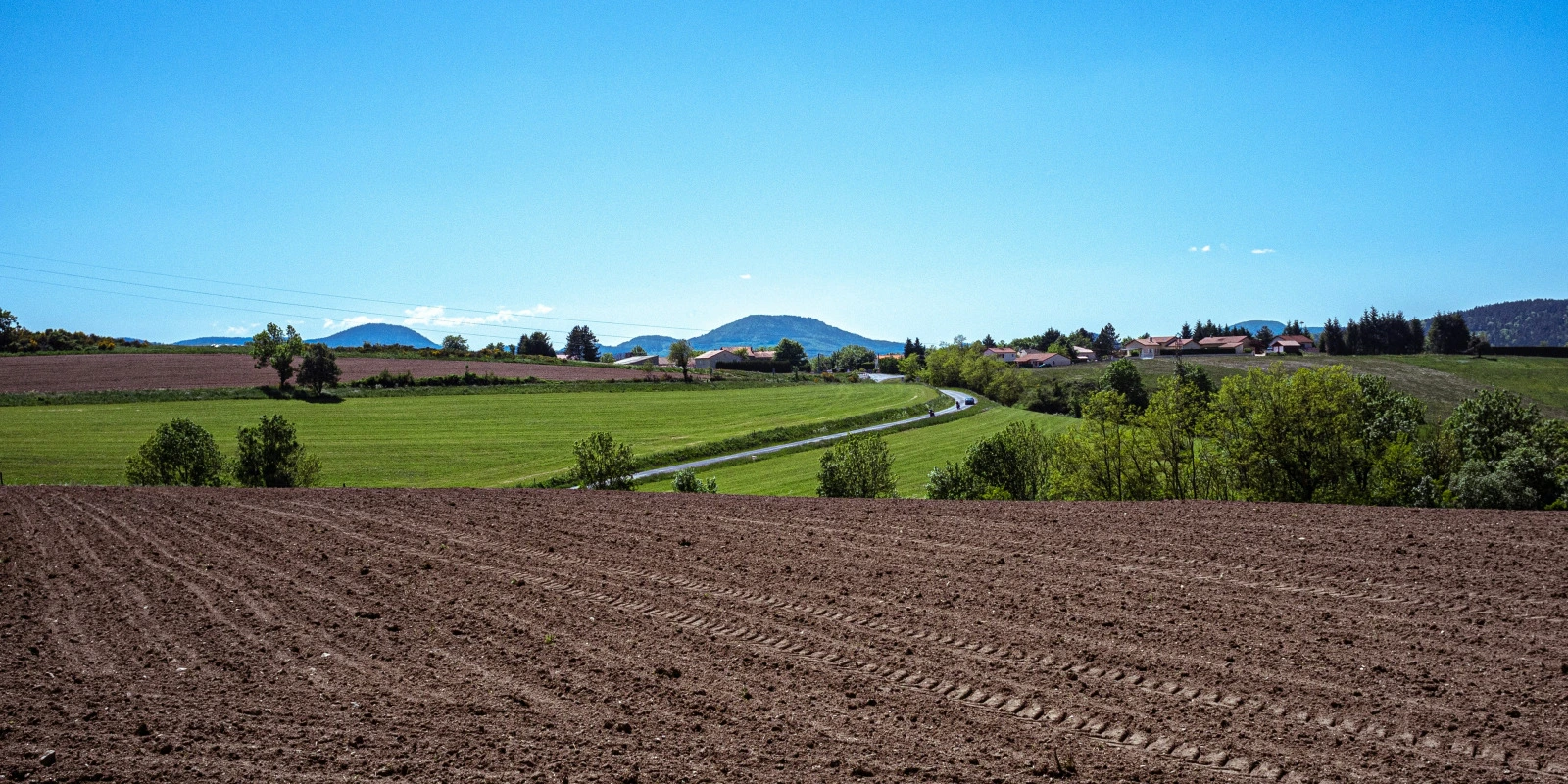 Introduction à la Gestion : Concepts et Fonctions