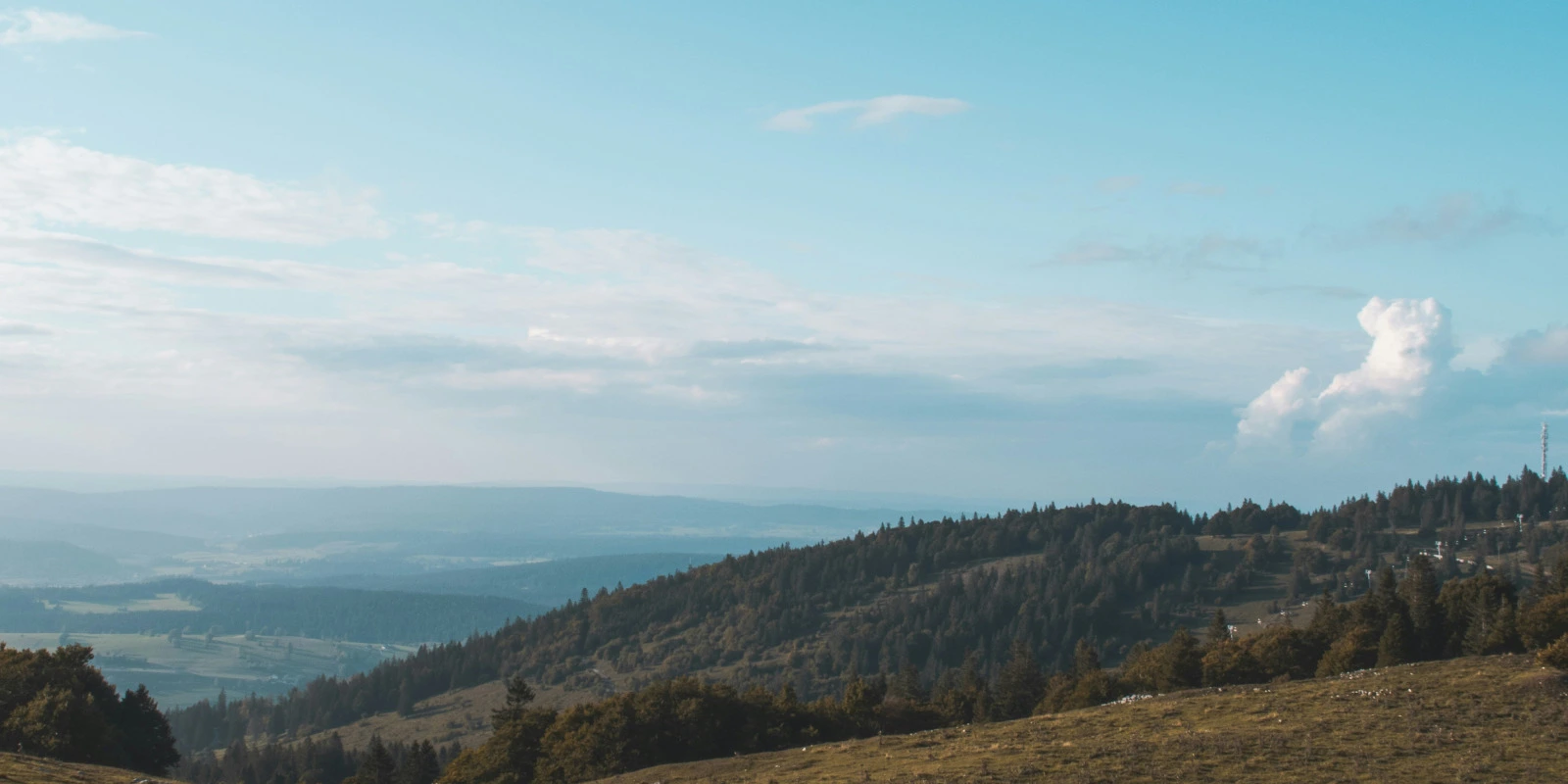 Lettre de Motivation pour Licence Éco-Gestion