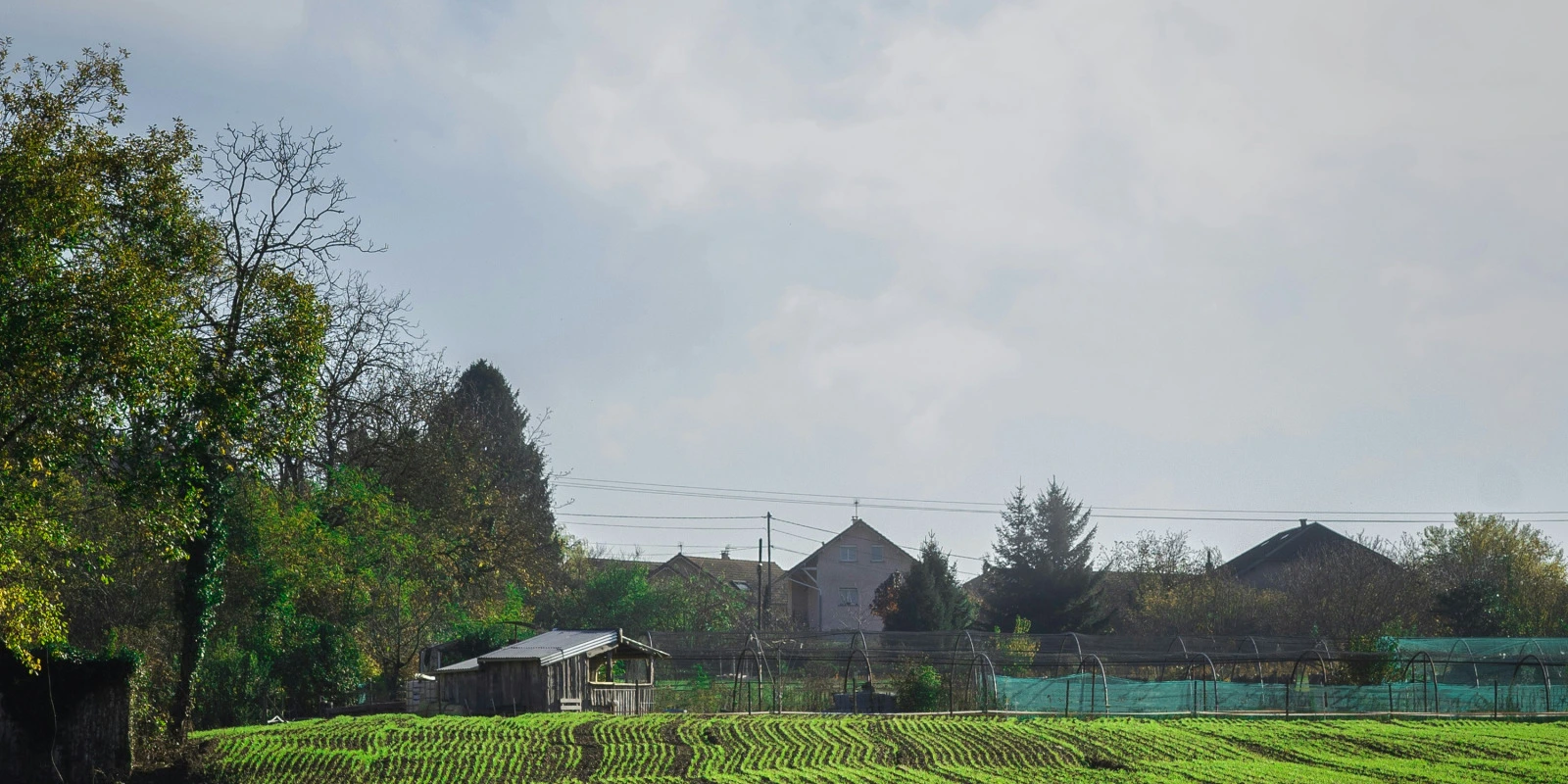 Licence Éco-Gestion à Distance