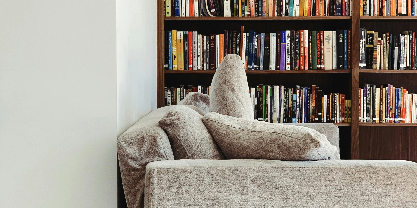 Licence Éco-Gestion: Emploi du Temps