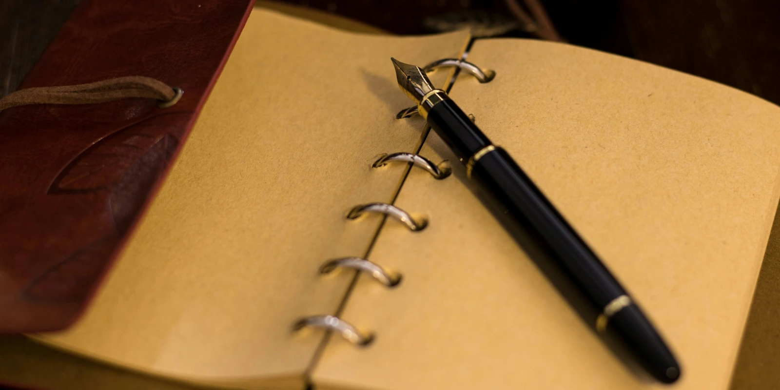 Licence Éco-Gestion: Étudier à Distance