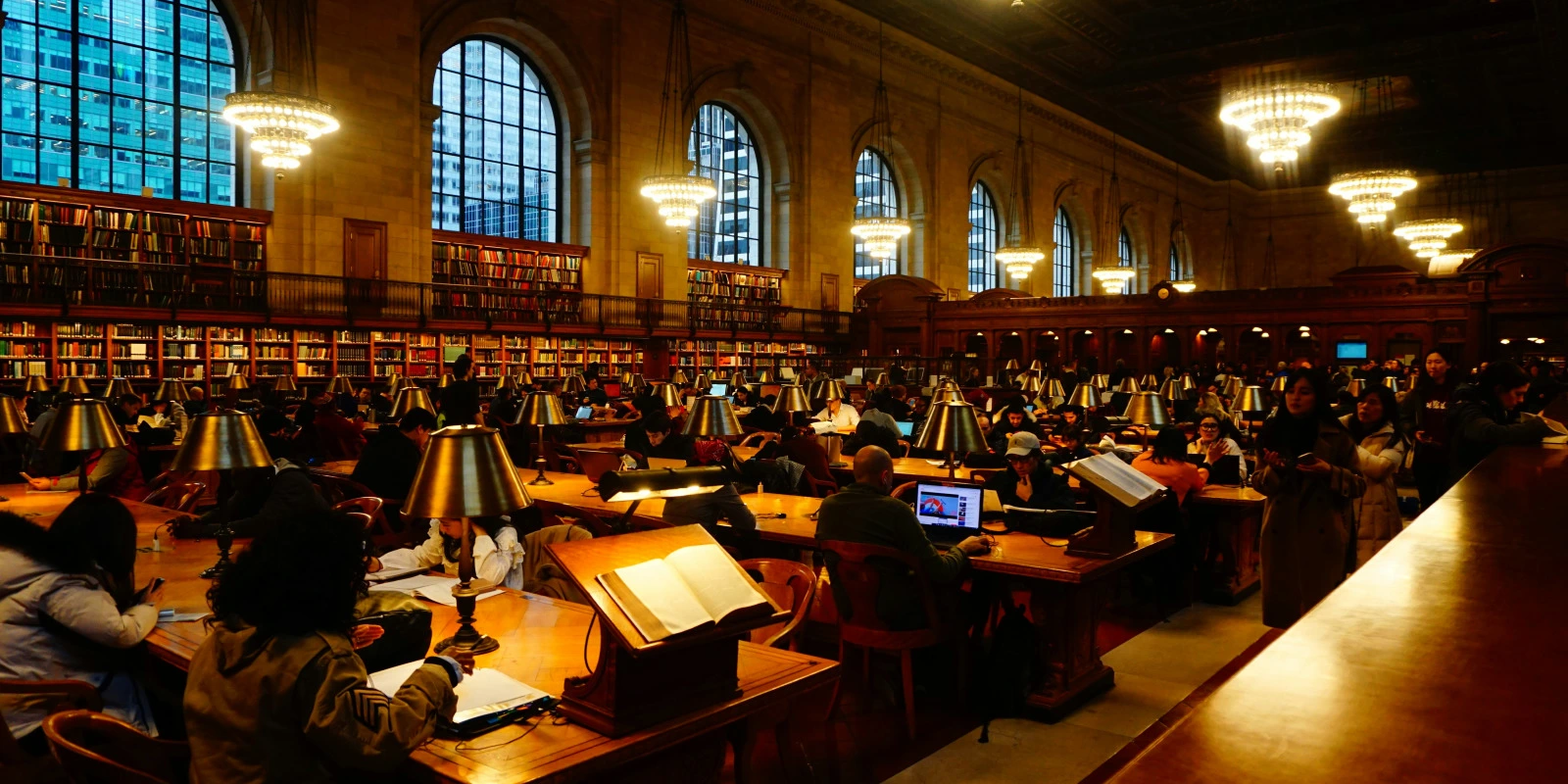 Licence Éco-Gestion: Options et Spécialisations