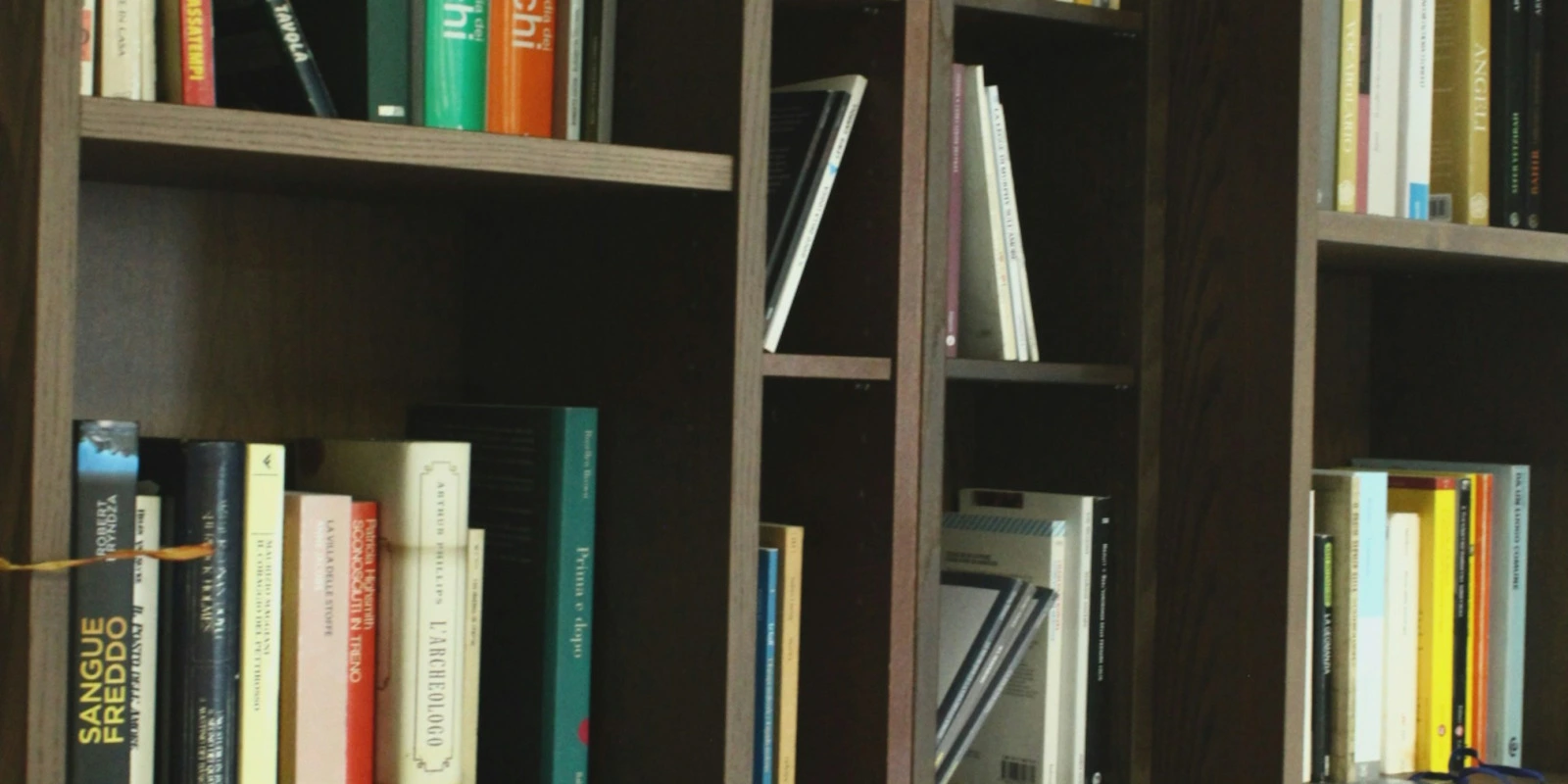 Licence Éco-Gestion: Spécialisations Disponibles