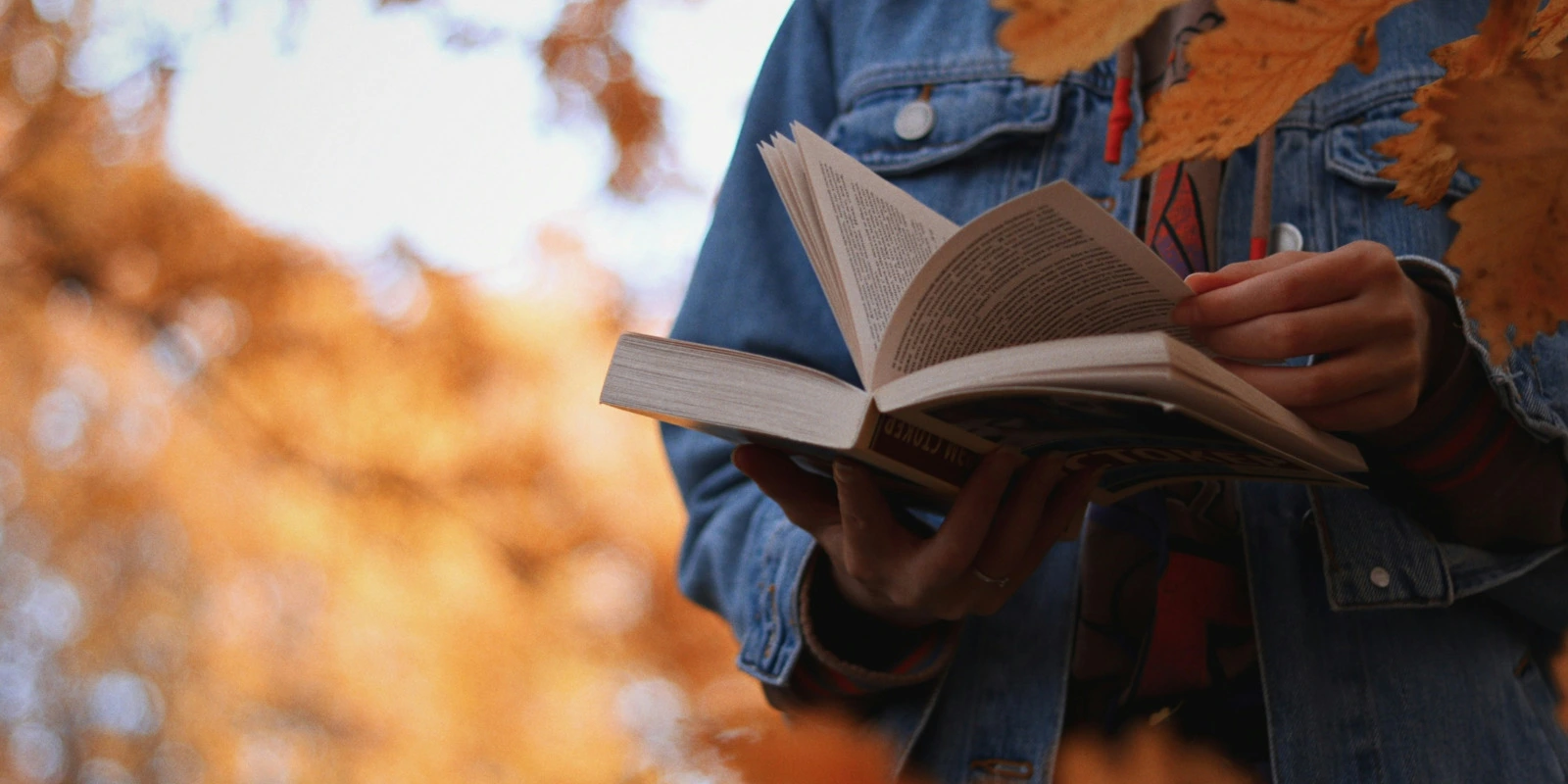 Management des Systèmes d'Information