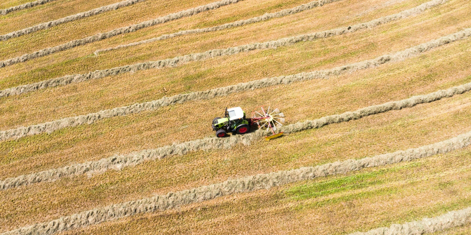 Parcours en Licence Éco-Gestion à Nanterre